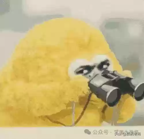 现代海战大神阵容搭配图(现代海战最强阵容攻略)插图9