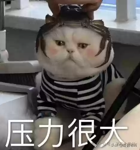 现代海战大神阵容搭配图(现代海战最强阵容攻略)插图36