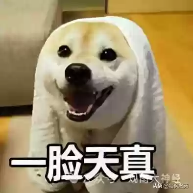 现代海战大神阵容搭配图(现代海战最强阵容攻略)插图52
