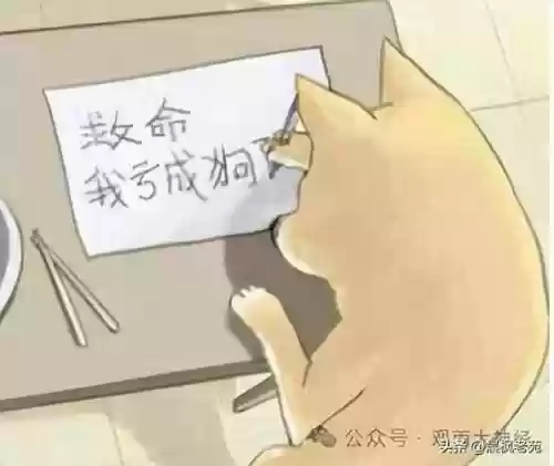 现代海战大神阵容搭配图(现代海战最强阵容攻略)插图27