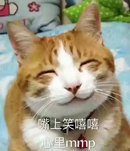 白嫖大佬阵容搭配表(最强阵容)插图3