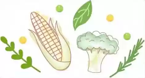 狂人工作号阵容搭配(天怒最佳的搭配阵容是什么)插图