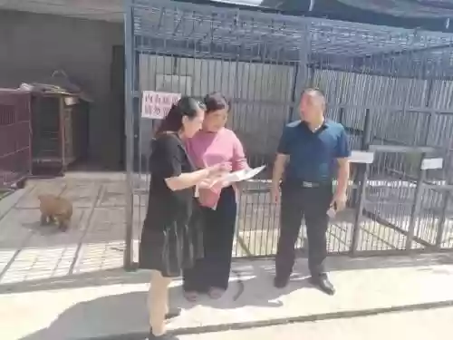 驯兽冒险阵容搭配推荐英雄(天天驯兽师阵容推荐)插图1
