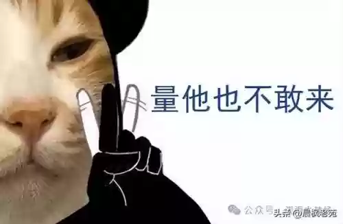 现代海战大神阵容搭配图(现代海战最强阵容攻略)插图15