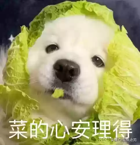 现代海战大神阵容搭配图(现代海战最强阵容攻略)插图44