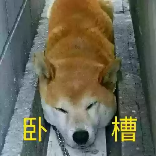 白嫖大佬阵容搭配表(最强阵容)插图4