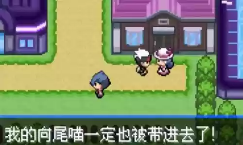 究极绿宝石5联机阵容(究极绿宝石5.5什么队伍最强)插图39