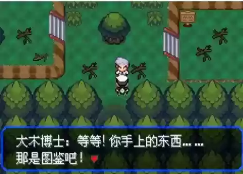 究极绿宝石5联机阵容(究极绿宝石5.5什么队伍最强)插图10