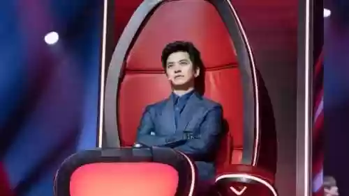 好声音十年导师阵容推荐(中国好声音所有助阵导师)插图11