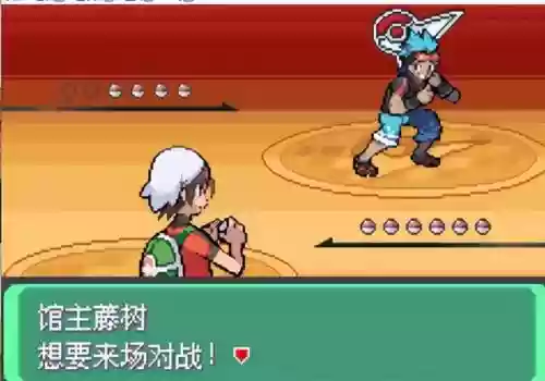 究极绿宝石5联机阵容(究极绿宝石5.5什么队伍最强)插图20