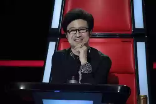 好声音十年导师阵容推荐(中国好声音所有助阵导师)插图9