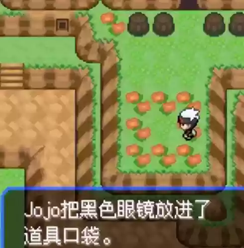 究极绿宝石5联机阵容(究极绿宝石5.5什么队伍最强)插图44