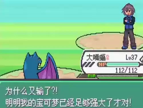 究极绿宝石5联机阵容(究极绿宝石5.5什么队伍最强)插图59