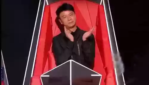 好声音十年导师阵容推荐(中国好声音所有助阵导师)插图5
