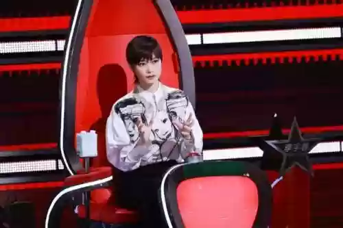 好声音十年导师阵容推荐(中国好声音所有助阵导师)插图3