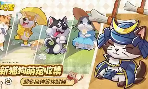 动物之星最强阵容搭配插图