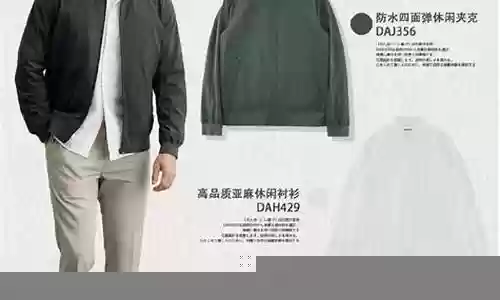 哈灵顿应该搭配的阵容插图