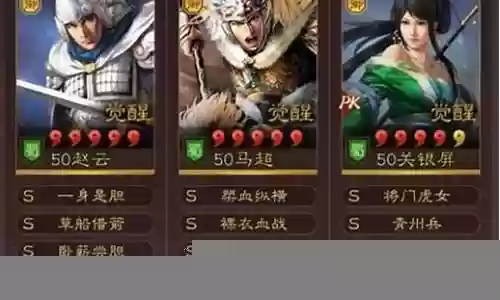 关妹赵云阵容搭配插图