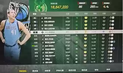 诺维斯基阵容搭配插图