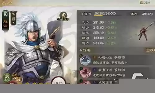 姜维阵容搭配推荐图插图