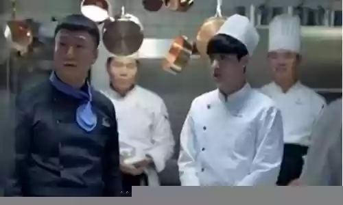 好先生厨师阵容搭配插图
