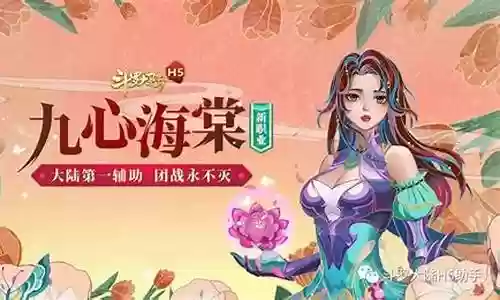 九心海棠搭配阵容插图