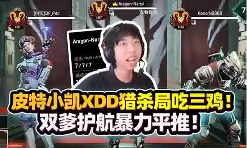 皮特猎杀阵容搭配插图