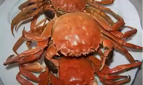 螃蟹搭配什么阵容好用插图