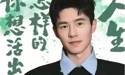 中文版配音阵容搭配插图