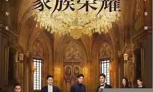电视剧家族阵容搭配插图