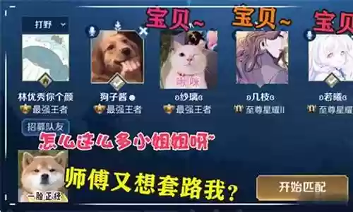 狗子队长五杀阵容搭配插图