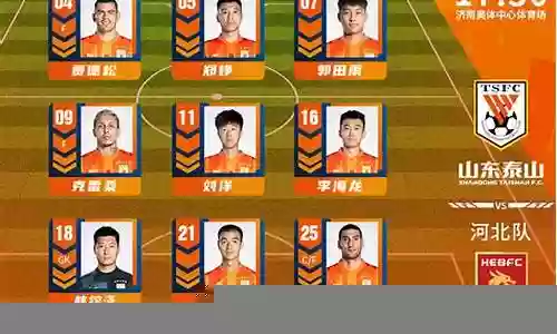 山东泰山2022阵容图插图
