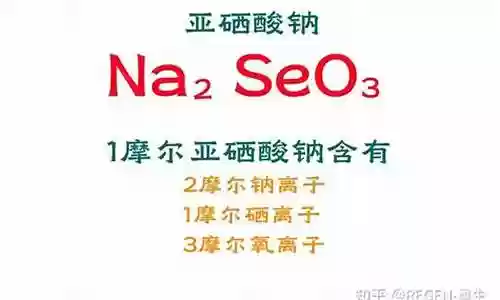 超级肾上腺素 阵容插图
