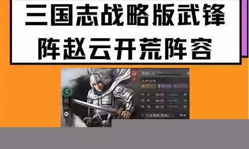 赵云绍武锋阵容插图