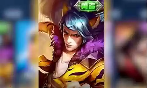 韩信国服寒冰阵容插图