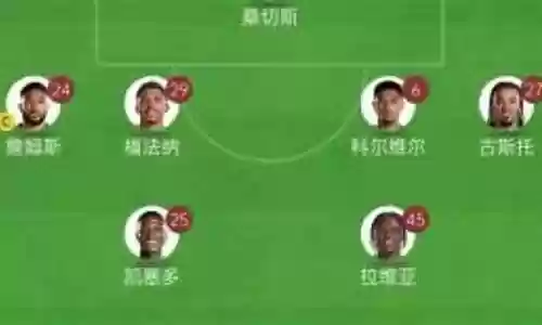 2012年纽卡阵容插图