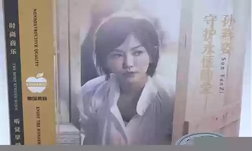 守护永恒的爱BBC武器插图
