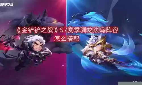无尽法爆冰鸟阵容搭配插图