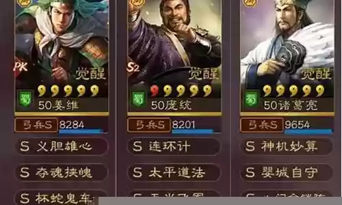赵云姜维最强搭配阵容图插图