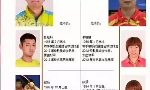 鲁能2012赛季阵容数据插图