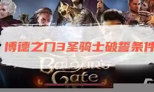 博德之门圣骑士阵容搭配插图