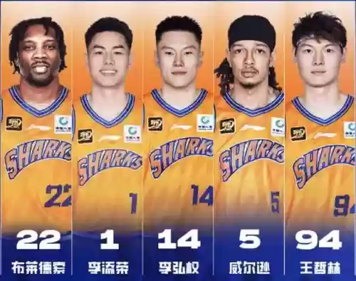 鲨鱼搭配阵容插图1