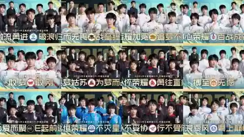 kpl年度最佳阵容最佳阵容插图