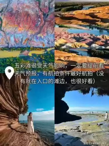 那拉阵容插图1
