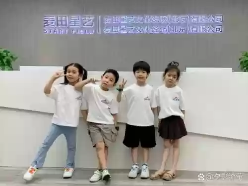 艺星阵容插图