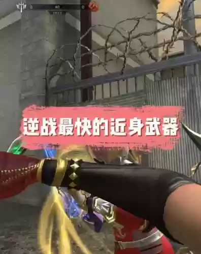 逆战樱之谷永久武器插图