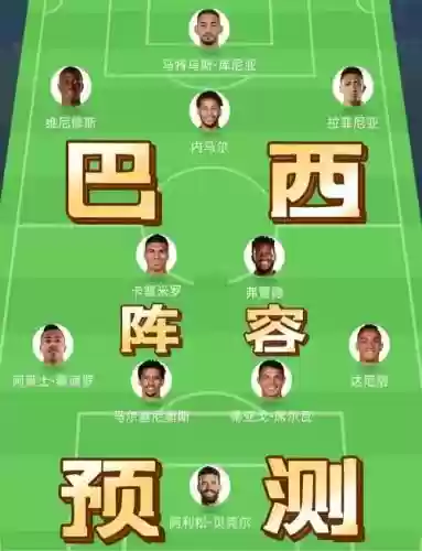 巴西阵容点评插图