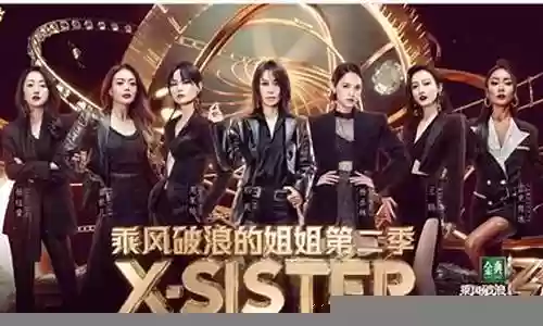 姐姐第1季阵容搭配图插图