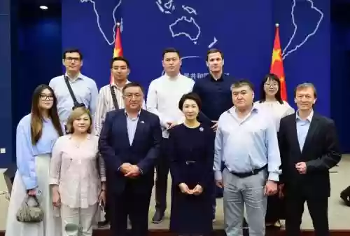访华最大阵容插图1