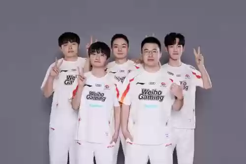 lpljdg最强阵容插图